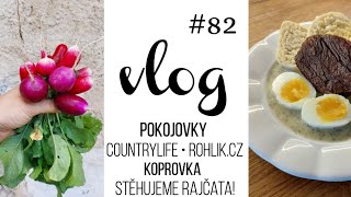 VLOG 82  naše pokojovky CountryLife amp Rohlík koprovka zahrada 🌱 [upl. by Tedra]