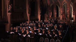 Barber  AGNUS DEI arr Adagio for Strings  Laurens Symfonisch  LIVE [upl. by Kendyl]