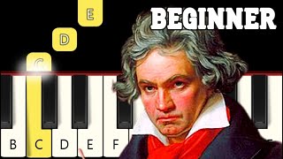 Für Elise  Very Easy Piano tutorial  Beginner [upl. by Lemor705]