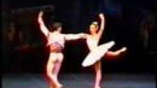 Roberto Bolle Sylvie Guillem Don Quijote Part 1 [upl. by Hsiekal327]