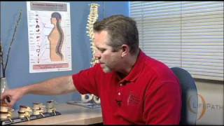 LifePath TV What is this thing called Subluxation  Chiropractic Patient Education [upl. by Dutch569]