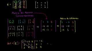 Intervendo uma matriz 3x3 determinante e matriz dos cofatores  2 [upl. by Fitting]