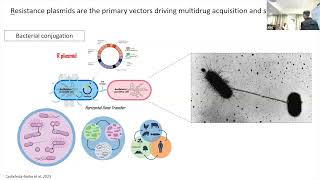 Dr Daniel Cazares University of Oxford UK on Evolutionary interplay of donorspecific phage [upl. by Nhguaval591]