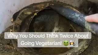 This Vegetarian Kitchen Nightmare Will Shock You  KitchenFail  ChefDisaster  FoodBlogger [upl. by Adest]