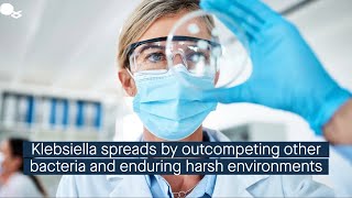 Outcompeting other bacterial species and surviving harsh conditions promotes Klebsiella transmis [upl. by Lavinie346]