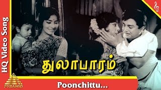 Poonchittu Video Song Thulabaram Tamil Movie Songs  Sharadha A V M Rajan Pyramid Music [upl. by Alyag]