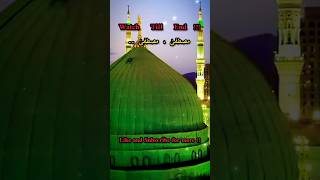 Mustafa Mustafa Arabic Naat  Ayesha Abdul Basith Best Collection 2024  statusvideo islamicstatus [upl. by Hassin]