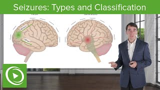 Seizures Types and Classification  Clinical Neurology [upl. by Ralina]