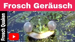 📢 Froschgeräusche  Frösche quaken im Mai 2018  Frosch Geräusch [upl. by Munster556]