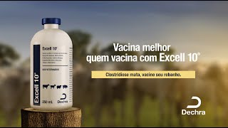 Vacina melhor quem vacina com Excell 10® [upl. by Carmelo564]