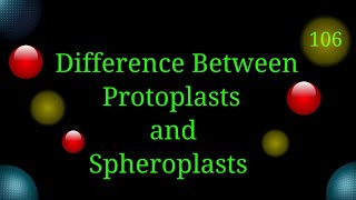 Difference Between Protoplasts and Spheroplasts EnteMicrobialWorldmicrobiology microbes cells [upl. by Cohlier]