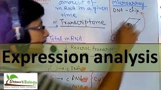 Gene expression analysis [upl. by Gilberte]