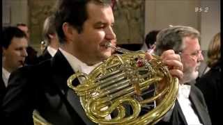 Brahmss 2nd Symphony 2nd Mov First Horn Solo [upl. by Gilson]