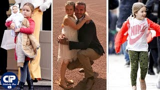 David Beckham amp Victoria Beckhams Daughter 2017  Harper Beckham [upl. by Jessamine]