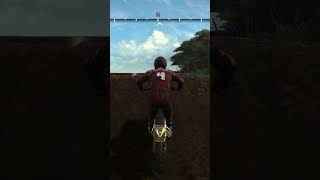 Reflex Red Bud Straight Rhythm 2017 [upl. by Orfurd]