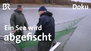 Der Ellertshäuser Stausee wird abgefischt und saniert  Zwischen Spessart und Karwendel  Doku  BR [upl. by Uhp33]