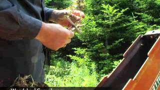 Exploring how to replace a Twig Breaker on a BX42RRED wood chipper [upl. by Wiener129]