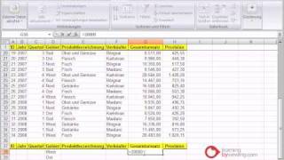 Excel Tutorial Spezialfilter [upl. by Lira727]