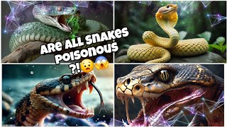 Are all Snakes Poisonous 😧What Snakes are not How to Identify them [upl. by Matias555]