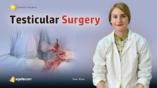 Testicular Surgery  Medical Online Education  Video Lectures  Doctors  VLearning™ [upl. by Sedicla417]