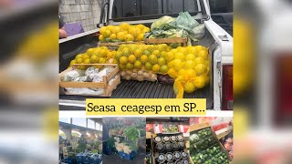 Vlog seasa ceagesp em Sao Paulo [upl. by Weitzman565]