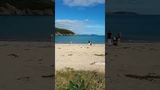 Maenporth Bay beach view nr Falmouth Cornwall England [upl. by Amory13]