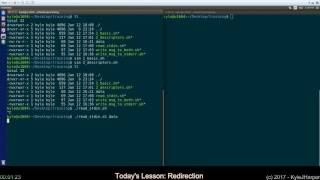 Redirection in Shell Scripts [upl. by Regdirb30]