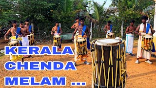 Kerala Chenda melam at all over Tamilnadu 6374 0 456 04 [upl. by Normy]