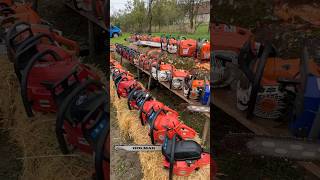 GTG Romania 2024 shorts chainsaw stihl husqvarna makita dolmar holzfforma solo [upl. by Flannery]