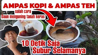 Cara Aman Memupuk dengan Ampas Kopi amp Teh [upl. by Elstan713]