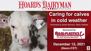 Caring for calves in cold weather [upl. by Boj]