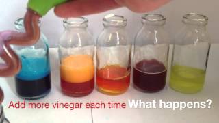 Baking Soda and Vinegar Reaction [upl. by Llacam453]