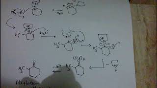 Alkylation of enamine part 2 [upl. by Baxy11]