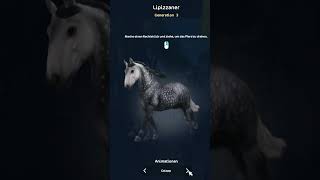 New Lipizzaner Alle Farben starstableonline sso starstable lipizzaner [upl. by Yerffeg]