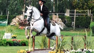 Working Equitation a Fun Way to Train Seriously  Pedro Neves clinic [upl. by Lily]