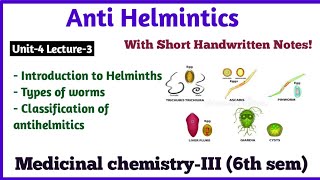 Anthelmintic Drugs Basic Introduction and Classification of Anthelmintic Drugs  Medicinal Chemistry [upl. by Audi]