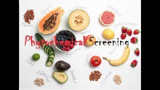 Phytochemical Screening [upl. by Ahseral]