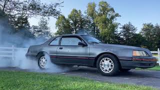 1988 Ford Thunderbird Turbo Coupe 4397TPA for sale  Charlotte Atlanta Dallas Tampa Phoeni [upl. by Harrad]