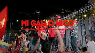 Mi Gallo Nico  Venezuela Vence Siempre [upl. by Durant61]