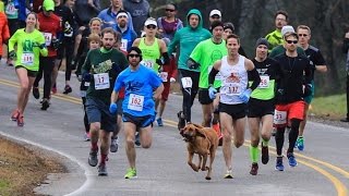 Dog Accidently Joins Half Marathon Finishes Race In 7th Place [upl. by Abbot]