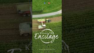 Teaser  Ensilage 2024  krone 780  GAEC Ducreux agriculturephotos [upl. by Adilen]