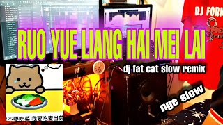 DJ FAT CAT YANG LAGI VIRAL DI TIK TOK RUO YUE LIANG HAI MEI LAI [upl. by Kent629]