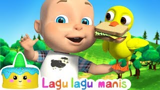 PETERNAKAN MACDONALD – Lagu –lagu Untuk anak [upl. by Zared]