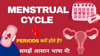 Menstrual Cycle  Explained In Hindi [upl. by Maxey]