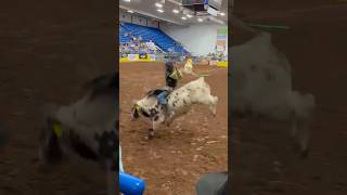 Lawton OK XBulls PRCAProRodeo 2024 [upl. by Hahn913]