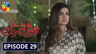 Bhool Jaa Ay Dil Episode 29 HUM TV Drama 24 December 2020 [upl. by Balthazar]