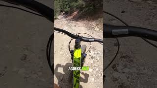 What Exactly Is A Downcountry Mountain Bike  Polygon Siskiu D7 [upl. by Notsirk20]