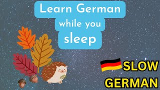 🇩🇪 HERBST🍂  Learn German while you sleep [upl. by Viki]