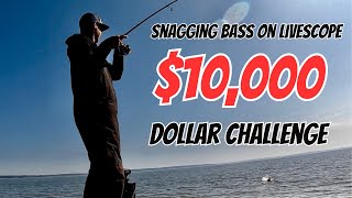 Snagging Bass on Livescope 10000 CHALLENGE [upl. by Lenuahs185]