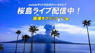 パチンコ・スロットのモリナガ【公式】 の桜島ライブカメラ [upl. by Lednyc]